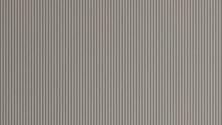 Pet Millerighe Grigio Fumo opaco